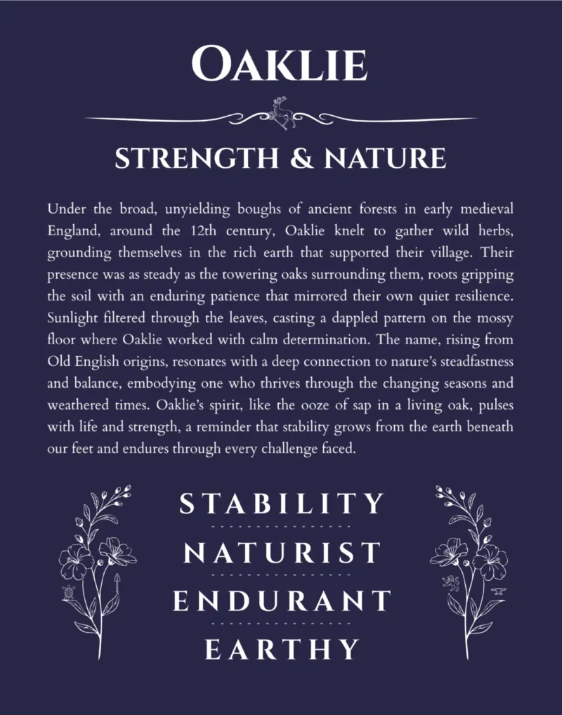 Oaklie personalized name meaning print in navy blue