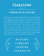 Oaklynn personalized name print with origin and traits in blue