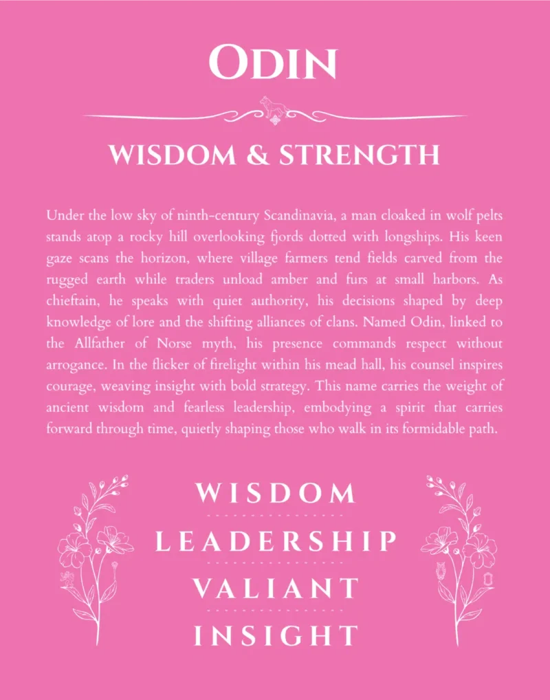 Odin name meaning gift print in pink