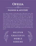 Ofelia custom name print for wall display in purple