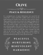 Olive personalized wall art with the story of your name in gray