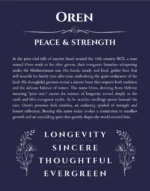 Oren personalized name print with origin and traits in navy blue
