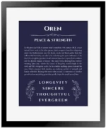 Oren personalized name print with origin and traits in navy blue with black matte frame