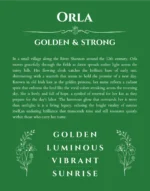 Orla name meaning wall art by Get Your Story in dark green