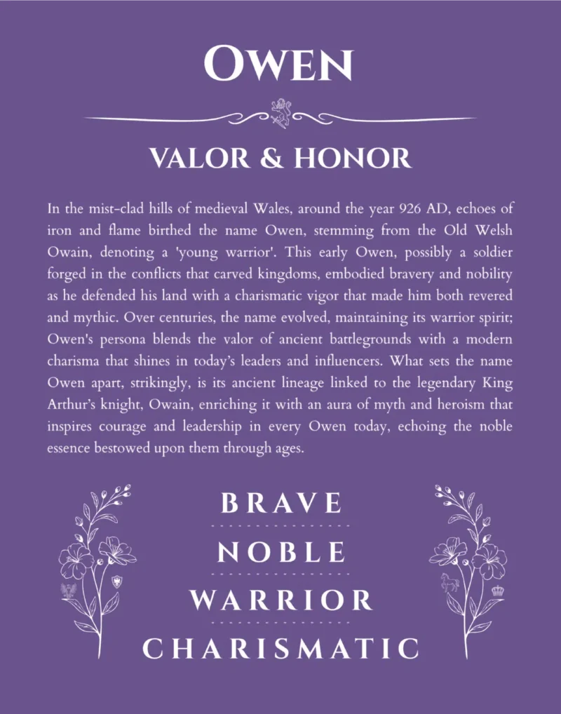 Owen personalized name print with origin and traits in purple