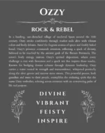 Ozzy personalized name meaning print in gray