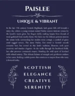 Paislee personalized name meaning print in navy blue