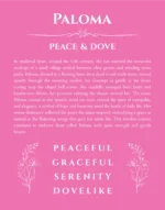 Paloma personalized name art with origin story in pink
