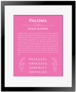 Paloma personalized name art with origin story in pink with black matte frame
