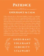 Patience name meaning gift print in orange