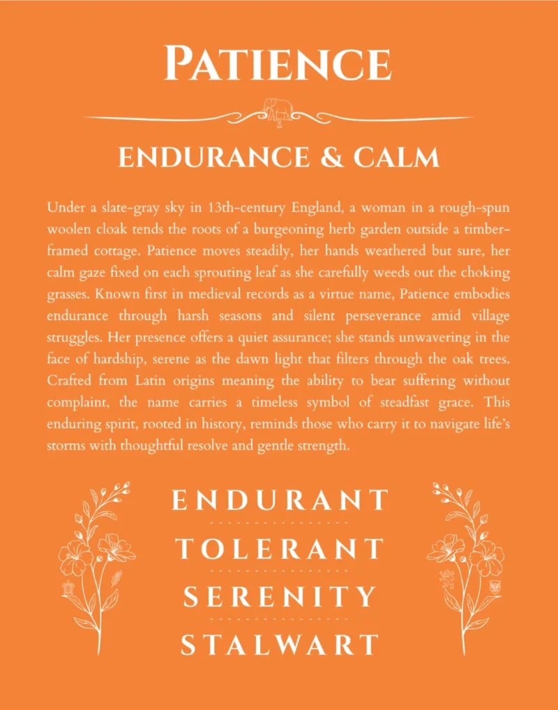 Patience name meaning gift print in orange