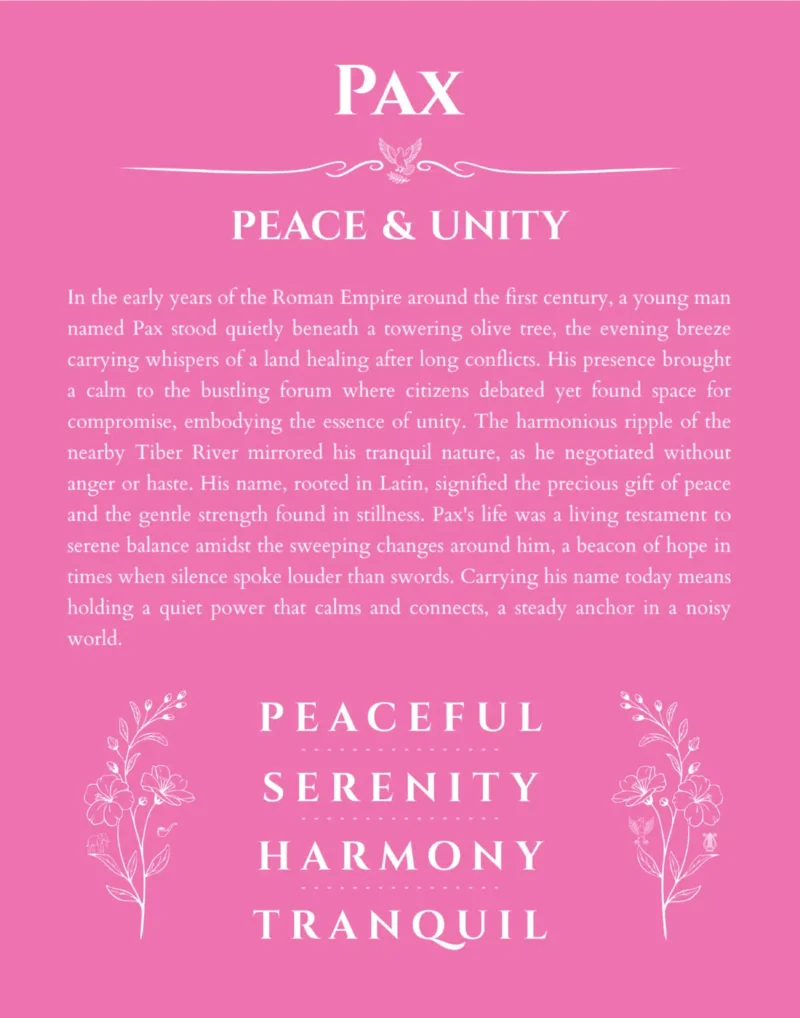 Pax name meaning wall art by Get Your Story in pink