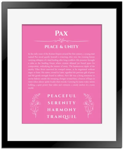 Pax name meaning wall art by Get Your Story in pink with black matte frame