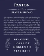 Paxton personalized name print with origin and traits in navy blue