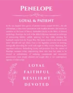 Penelope personalized wall art with the story of your name in pink