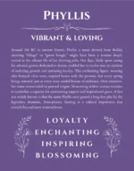Phyllis personalized wall art with the story of your name in purple