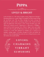 Pippa personalized wall art with the story of your name in red