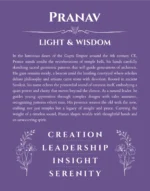 Pranav personalized name art with origin story in purple