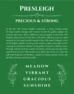 Presleigh personalized name print with origin and traits in dark green