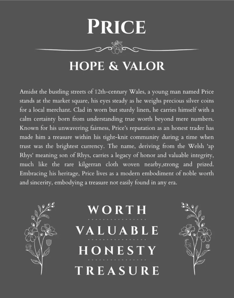 Price name origin print with meaning and traits in gray