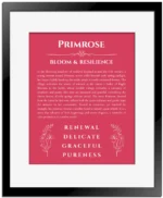 Primrose name meaning gift print in red with black matte frame
