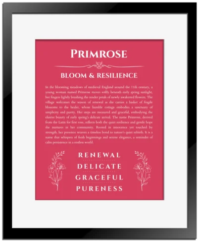 Primrose name meaning gift print in red with black matte frame