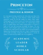 Princeton custom name meaning print in blue