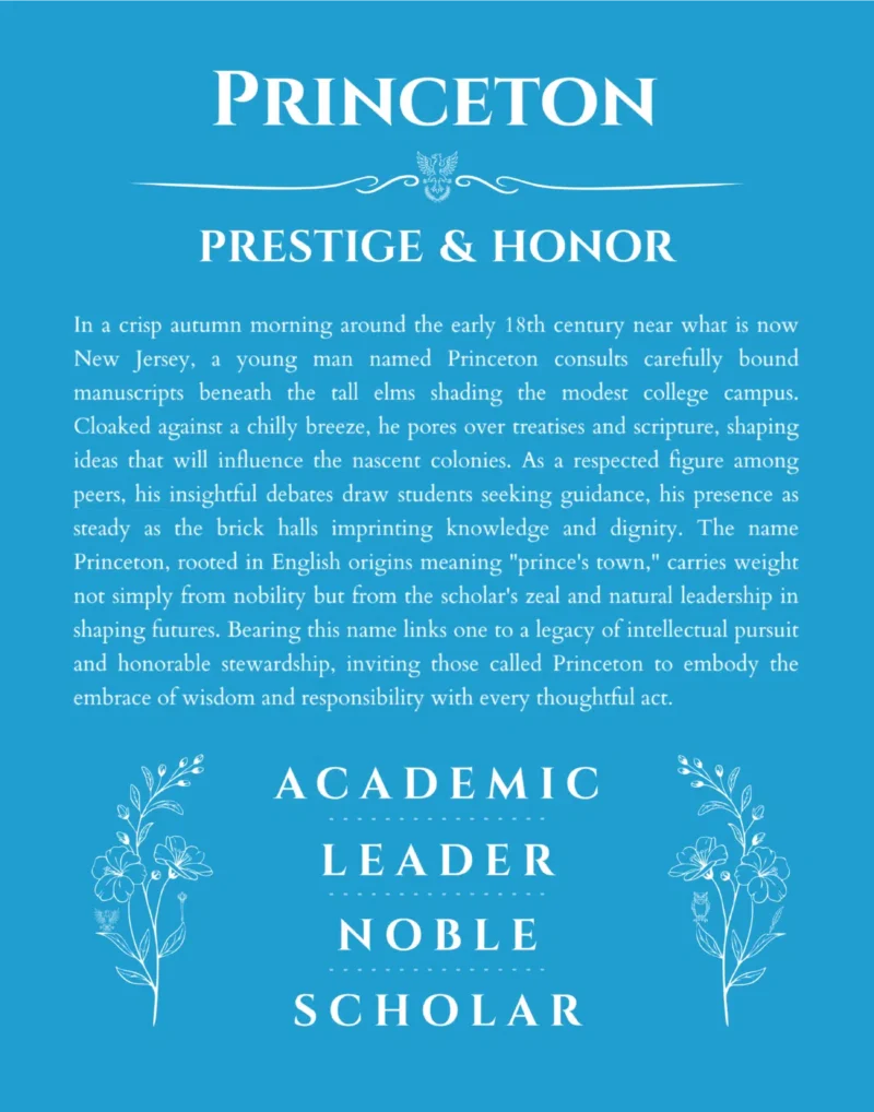 Princeton custom name meaning print in blue