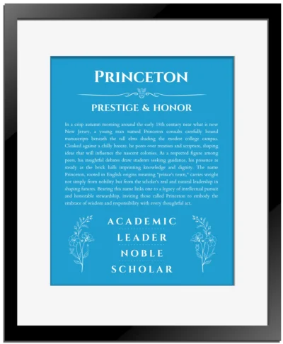 Princeton custom name meaning print in blue with black matte frame