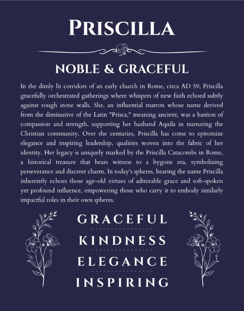 Priscilla personalized name print with origin and traits in navy blue