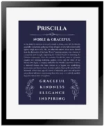 Priscilla personalized name print with origin and traits in navy blue with black matte frame