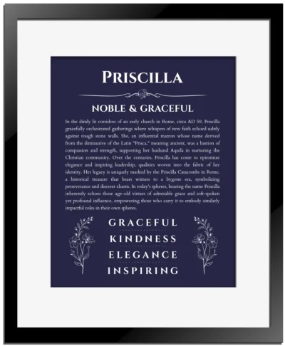 Priscilla personalized name print with origin and traits in navy blue with black matte frame