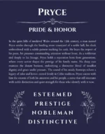 Pryce custom name art showing meaning and origin in navy blue