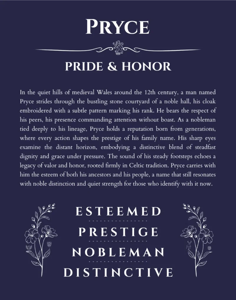 Pryce custom name art showing meaning and origin in navy blue