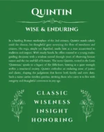 Quintin custom name art showing meaning and origin in dark green