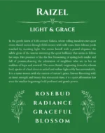 Raizel personalized name art with origin story in dark green