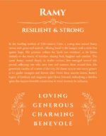 Ramy name meaning wall art by Get Your Story in orange