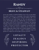 Randy name meaning gift print in navy blue