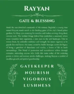 Rayyan personalized name art with origin story in dark green