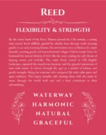 Reed custom name meaning print in red