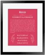 Reed custom name meaning print in red with black matte frame