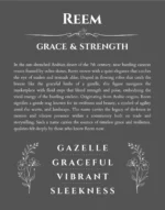 Reem name meaning wall art by Get Your Story in gray
