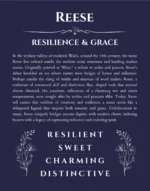 Reese custom name art showing meaning and origin in navy blue
