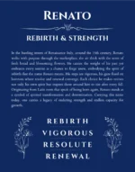 Renato custom name art showing meaning and origin in deep blue