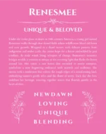 Renesmee personalized wall art with the story of your name in pink