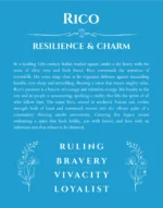 Rico personalized wall art with the story of your name in blue