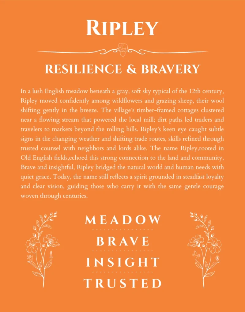 Ripley personalized name art with origin story in orange