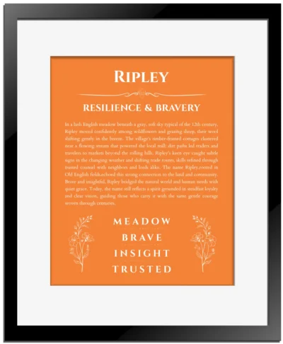 Ripley personalized name art with origin story in orange with black matte frame