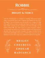 Robbie custom name art showing meaning and origin in orange
