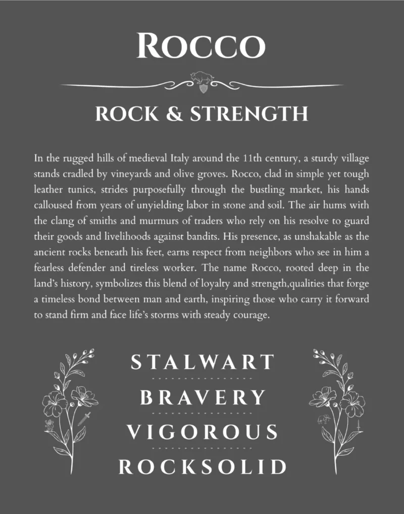 Rocco personalized wall art with the story of your name in gray
